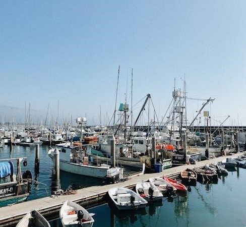 santa barbara movie guide